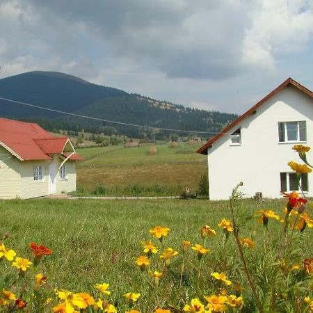 Vila Casa Ana Vatra Dornei Dealu Floreni Exteriér fotografie