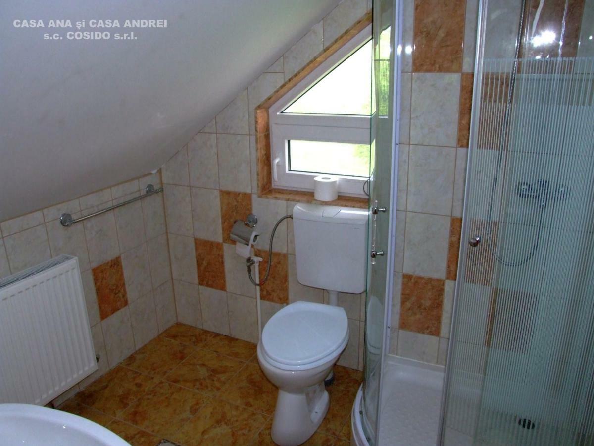Vila Casa Ana Vatra Dornei Dealu Floreni Exteriér fotografie