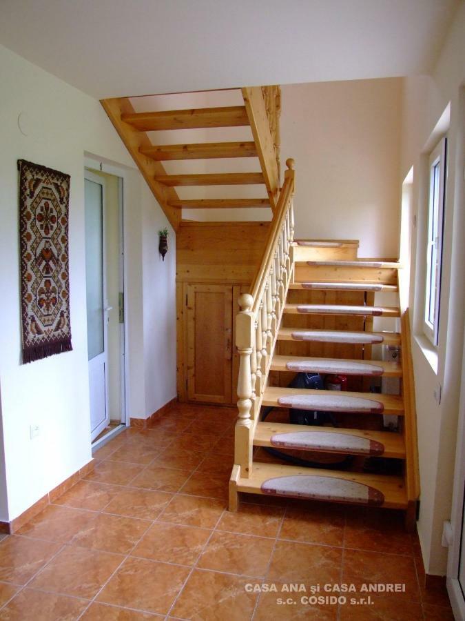 Vila Casa Ana Vatra Dornei Dealu Floreni Exteriér fotografie