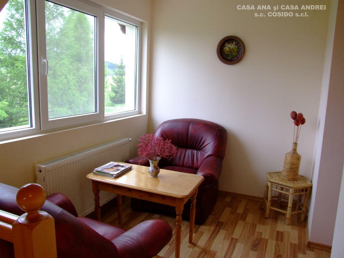Vila Casa Ana Vatra Dornei Dealu Floreni Exteriér fotografie