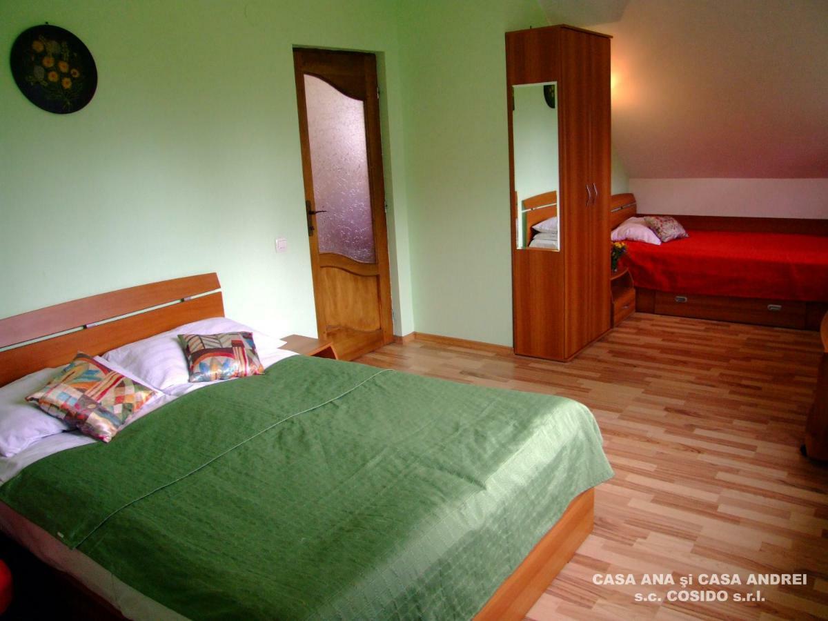 Vila Casa Ana Vatra Dornei Dealu Floreni Exteriér fotografie