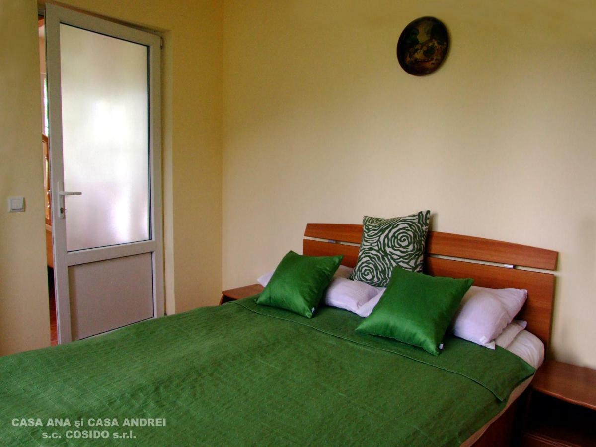 Vila Casa Ana Vatra Dornei Dealu Floreni Exteriér fotografie
