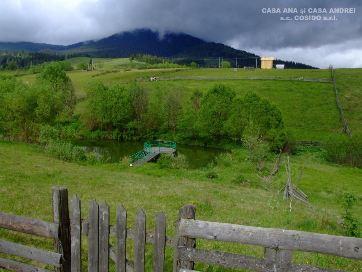 Vila Casa Ana Vatra Dornei Dealu Floreni Exteriér fotografie