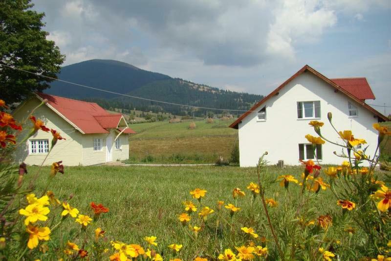 Vila Casa Ana Vatra Dornei Dealu Floreni Exteriér fotografie