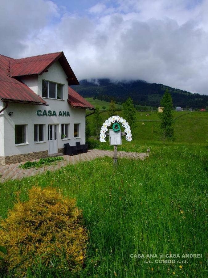 Vila Casa Ana Vatra Dornei Dealu Floreni Exteriér fotografie